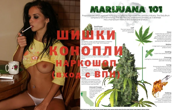 хмурый Новокубанск
