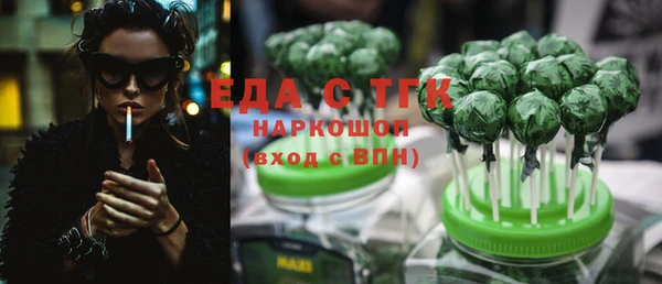 СК Новодвинск