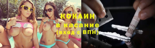 СК Новодвинск