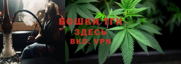 эйфоретик Новозыбков