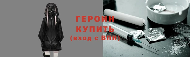 СК Новодвинск