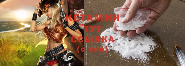 дживик Анжеро-Судженск