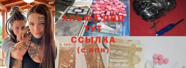 СК Новодвинск