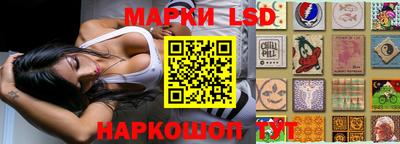 таблы Будённовск