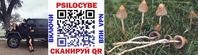 MEGA ТОР  Волжский  Галлюциногенные грибы MAGIC MUSHROOMS 