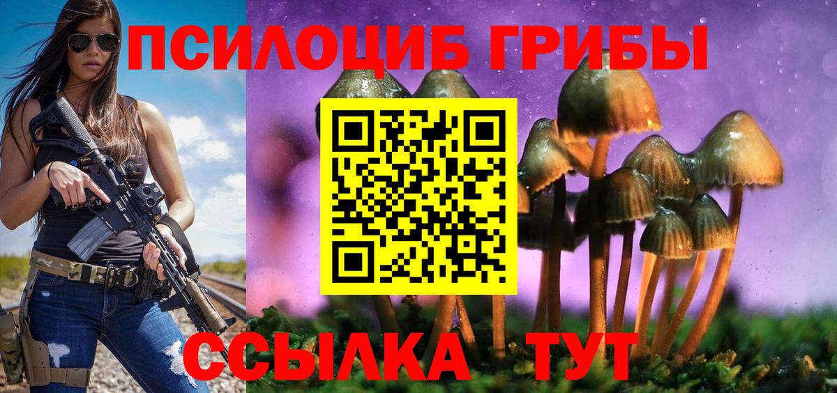 Волжский  Псилоцибиновые грибы прущие грибы  Вход с VPN  Псилоцибиновые грибы мухоморы 