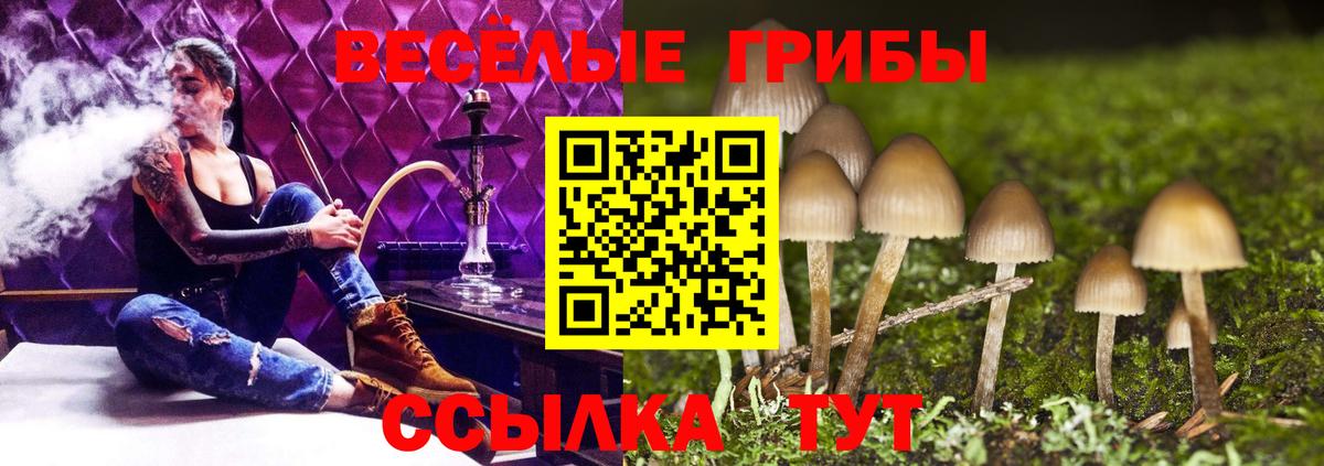 Галлюциногенные грибы Cubensis Волжский